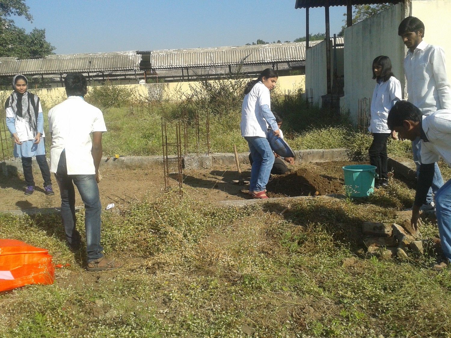 Students Performing Practical 11